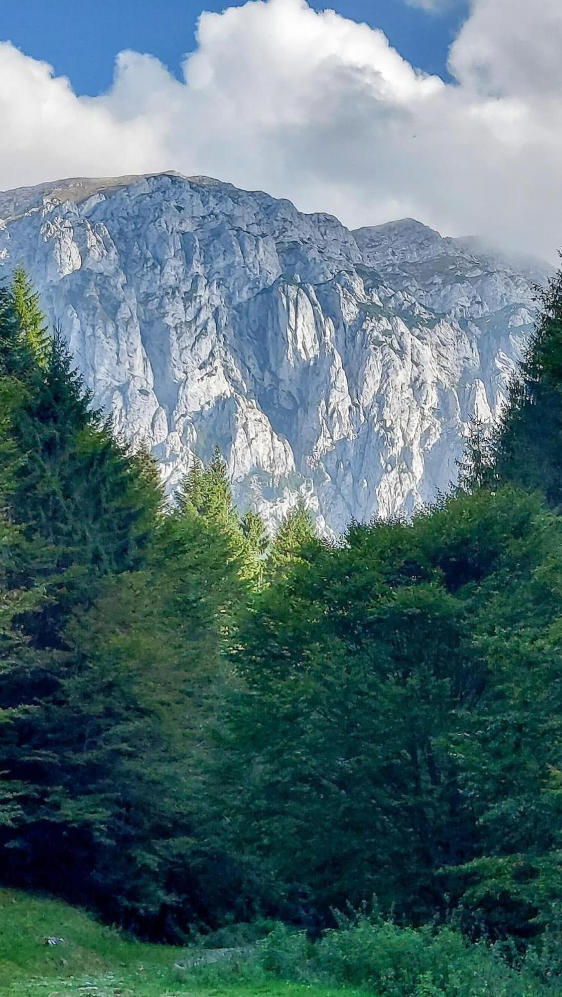 Cazare Zorilor Zărneşti Habitación foto