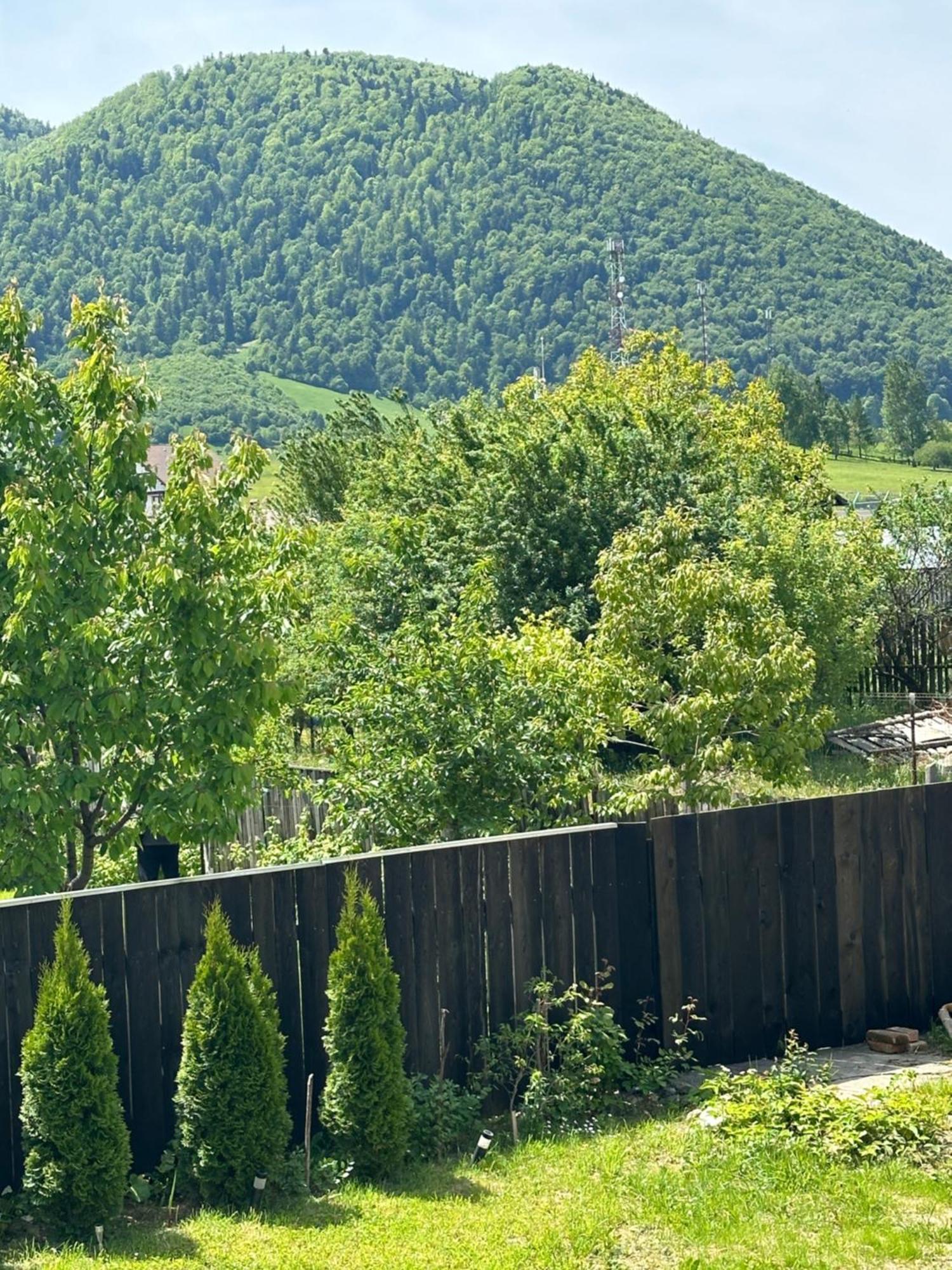 Cazare Zorilor Zărneşti Habitación foto
